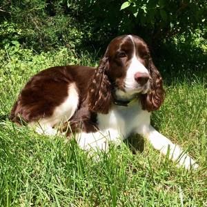 Meet your Posher, Rodney